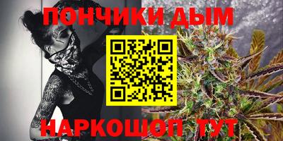 сатива Бийск